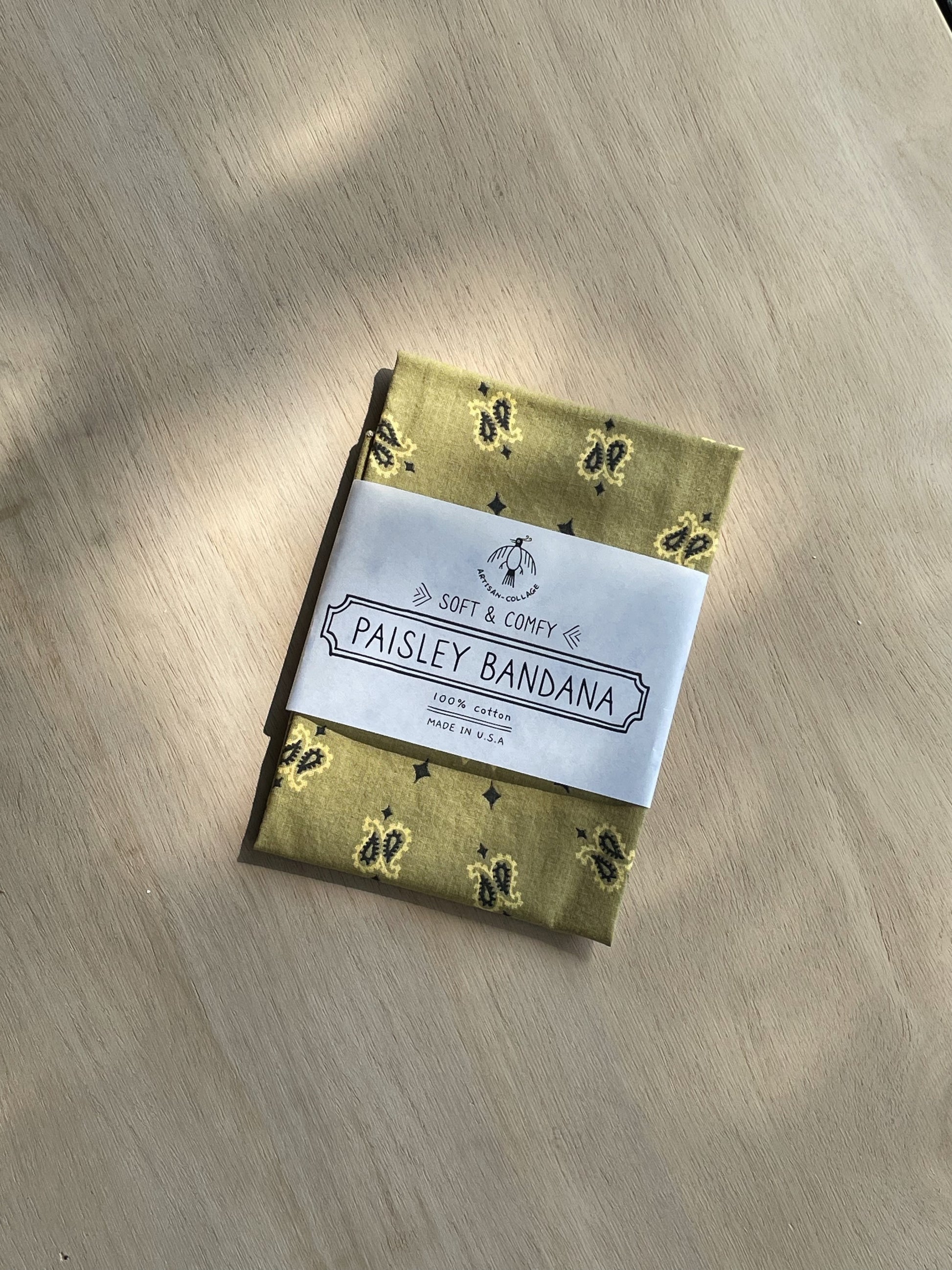 Desert Paisley Bandana