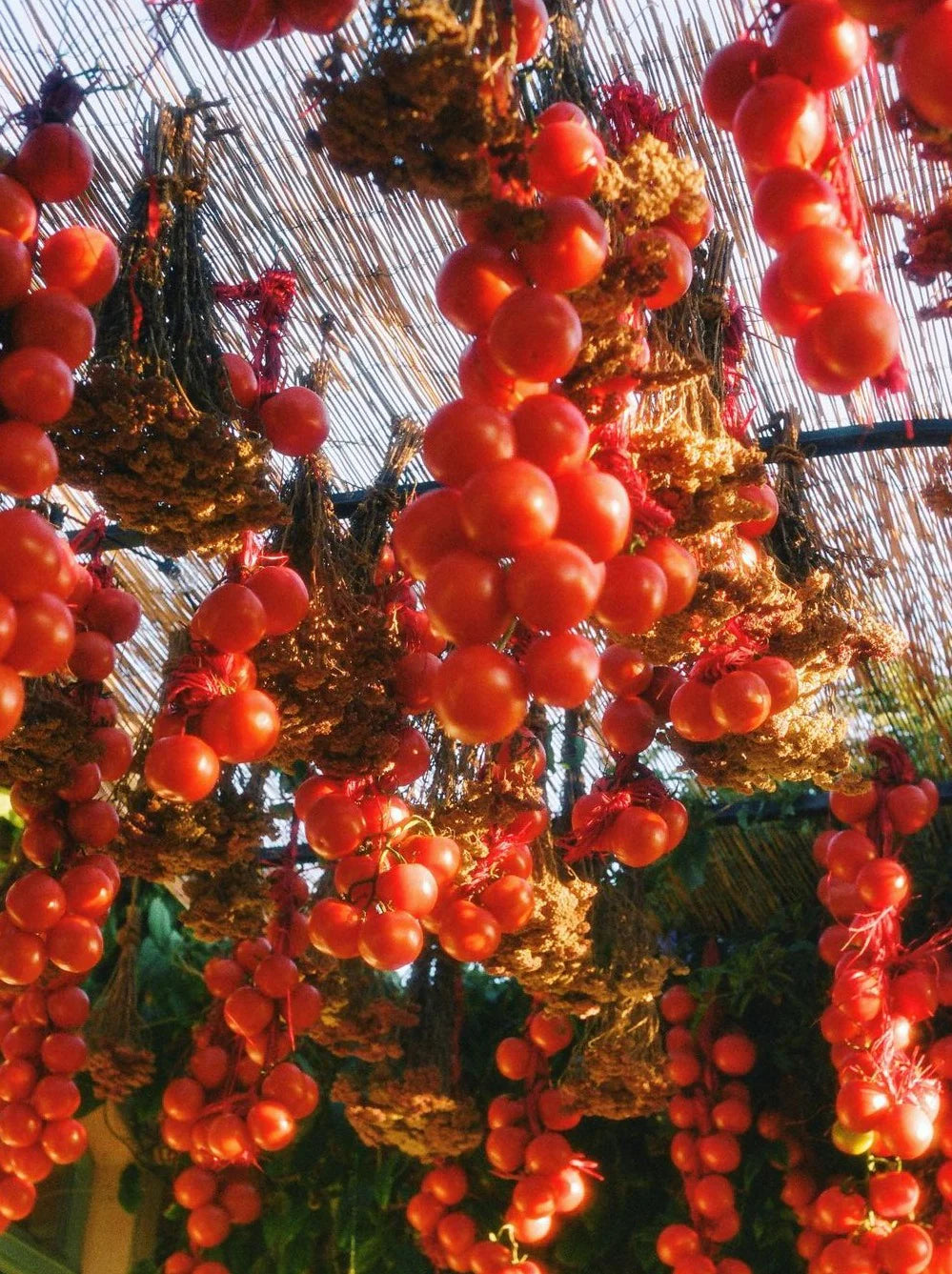 Heirloom Tomato Candle