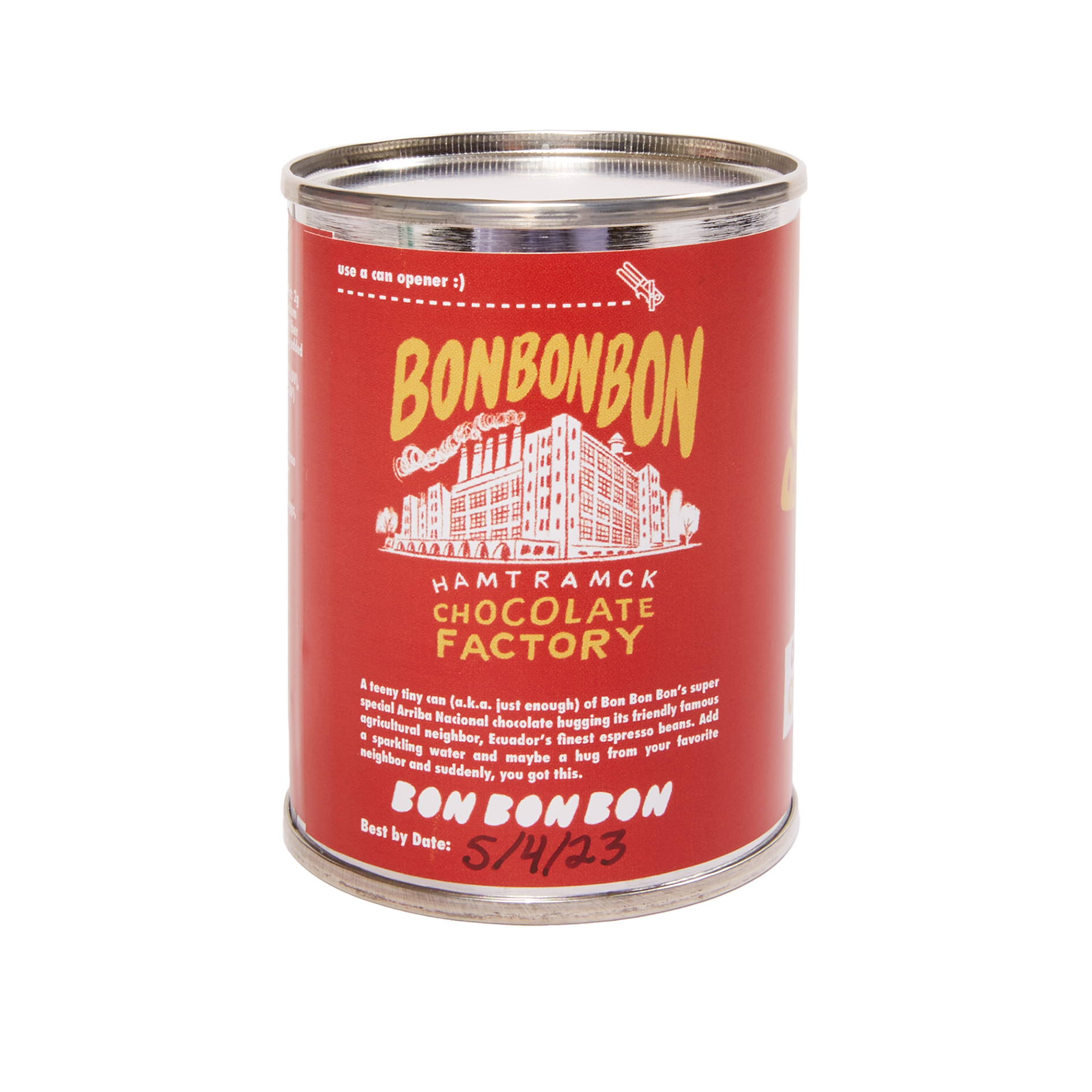 Chocolate Covered Coffee Beans