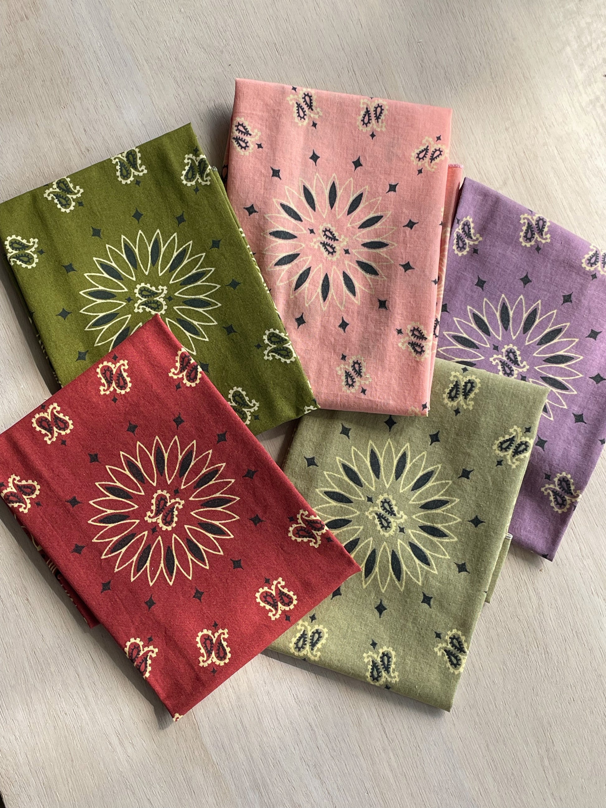 Desert Paisley Bandana