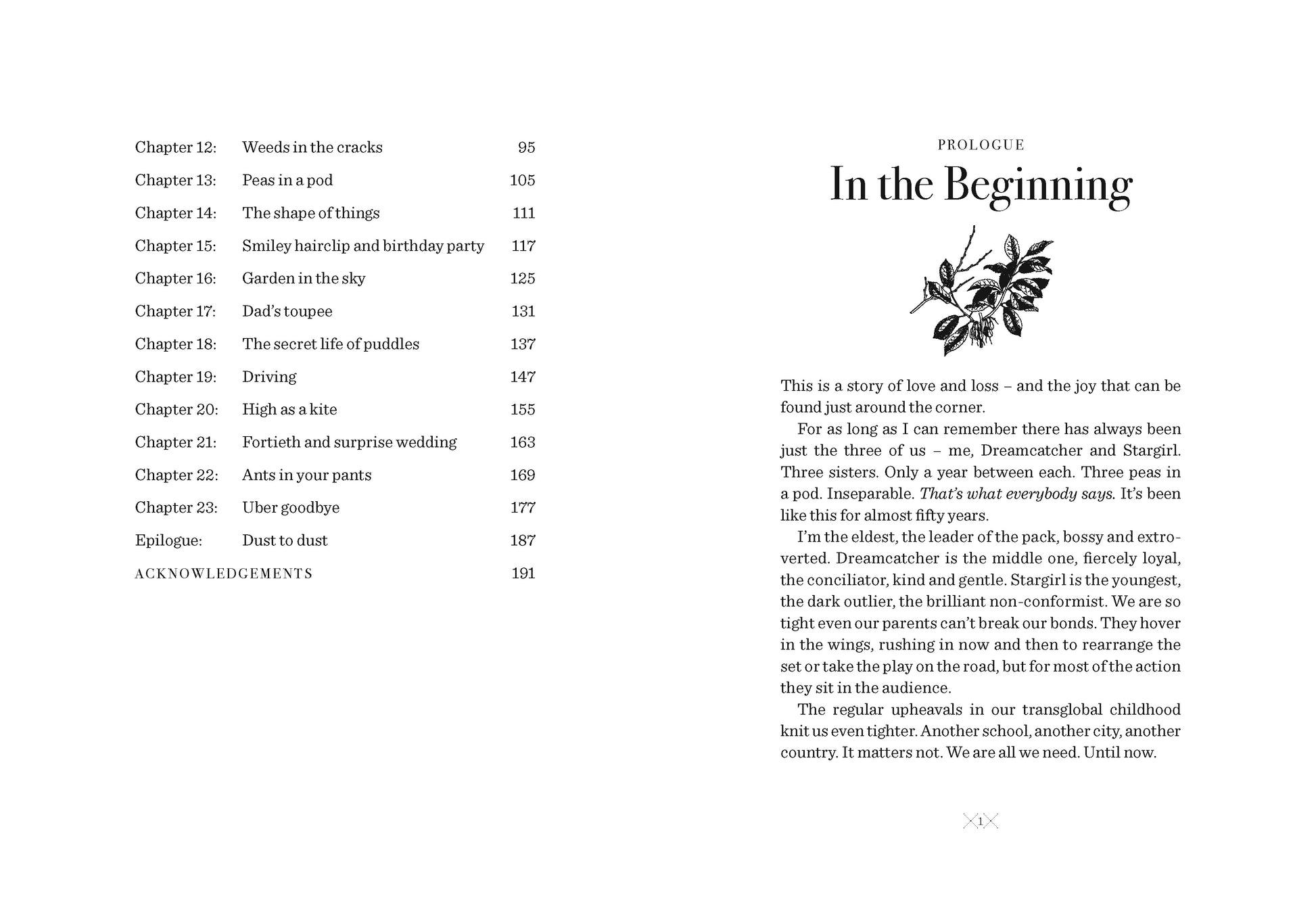 The Space Between the Stars