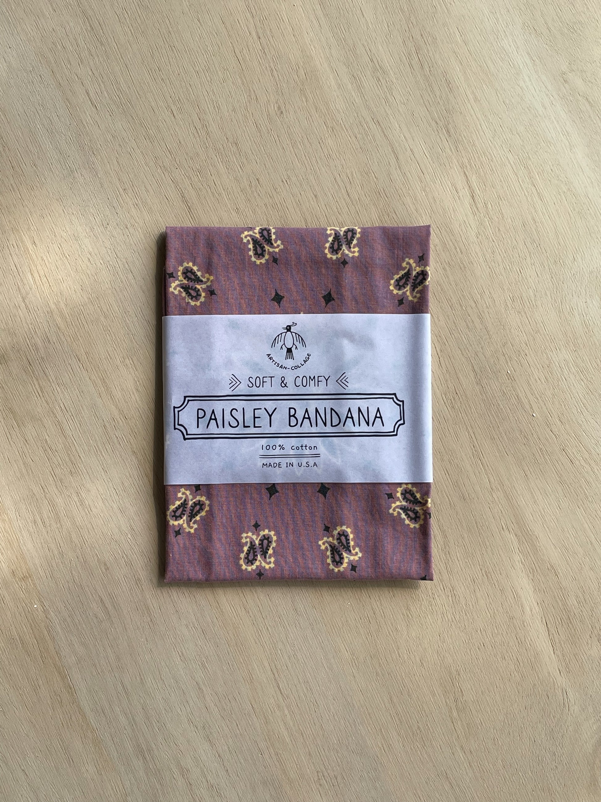 Desert Paisley Bandana