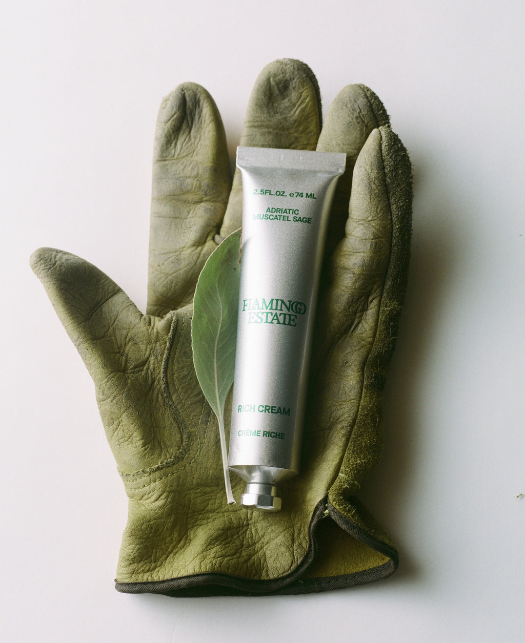 Adriatic Muscatel Sage Rich Cream