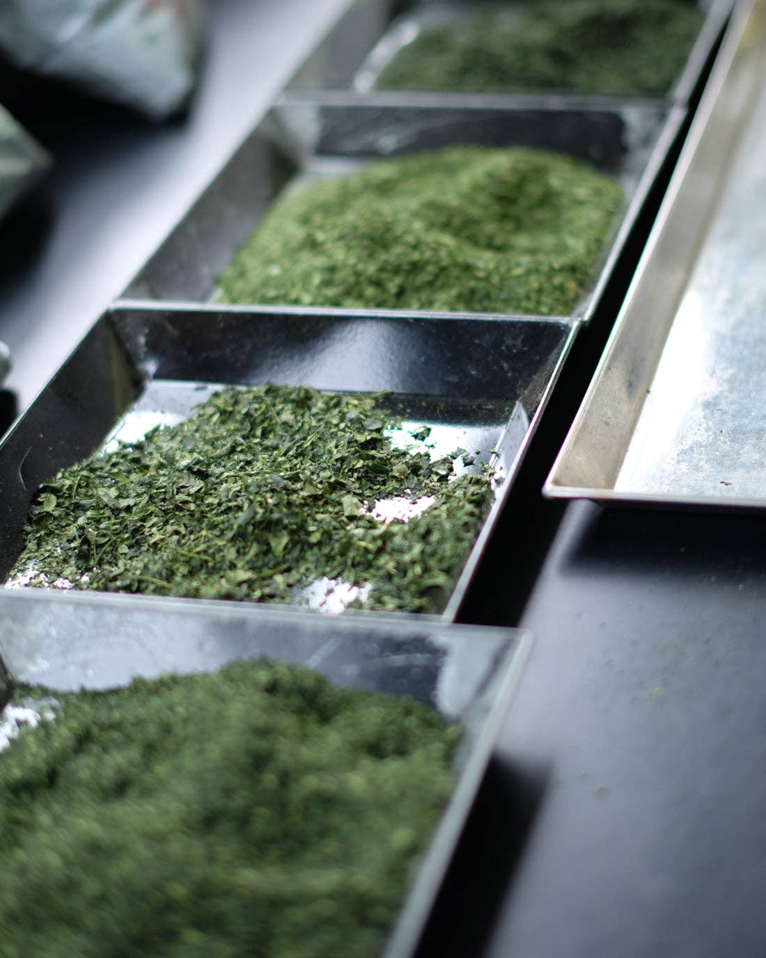 Matcha Peanut Butter