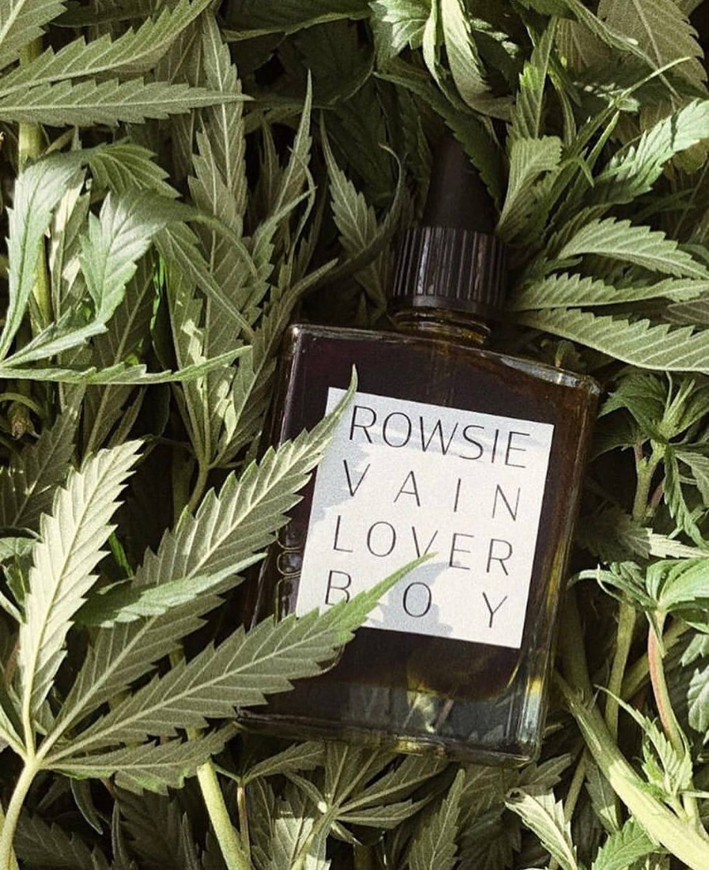 Loverboy Roller Oil