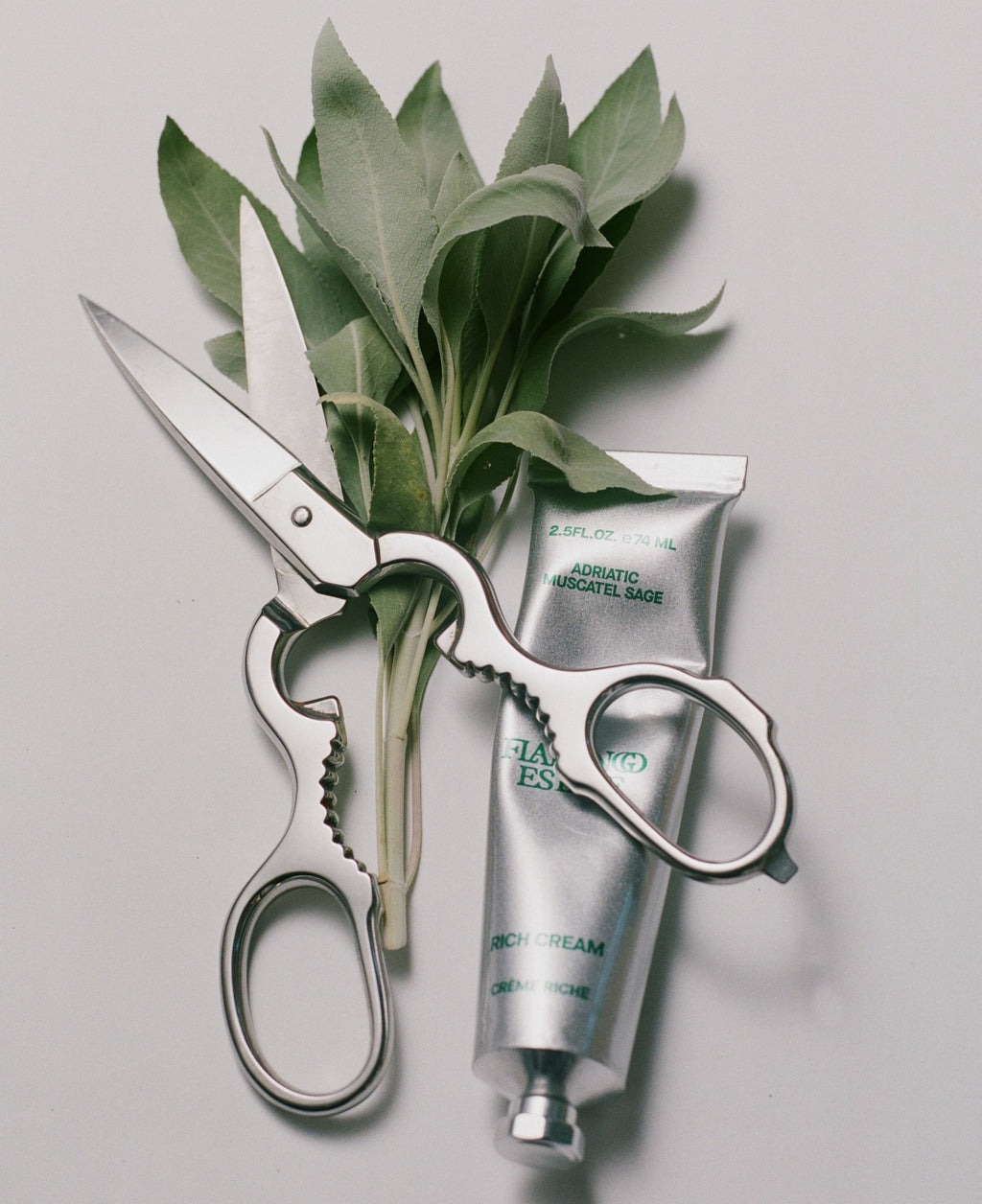 Adriatic Muscatel Sage Rich Cream