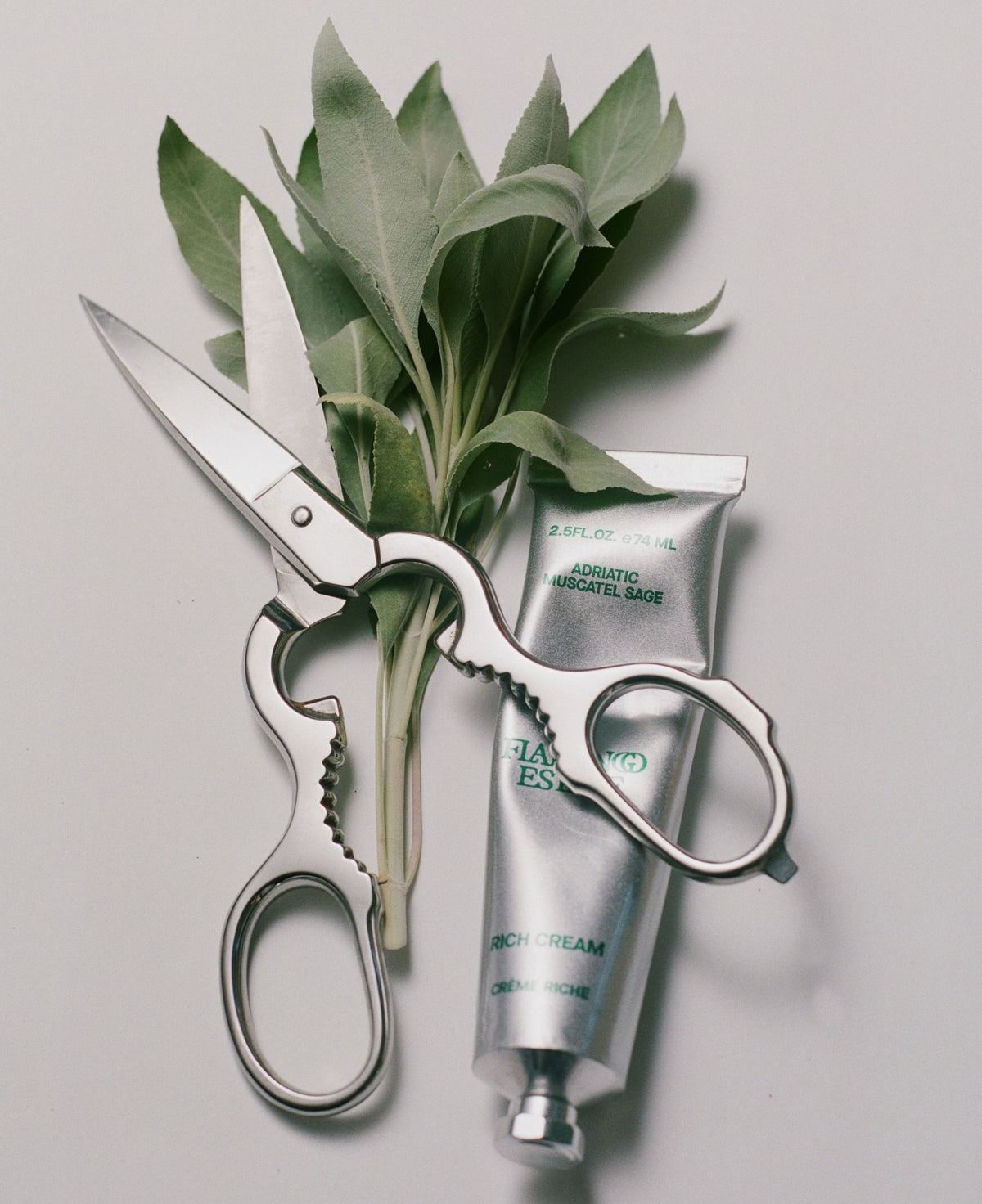 Adriatic Muscatel Sage Rich Cream