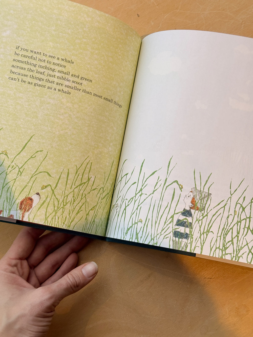 If You Want To See A Whale