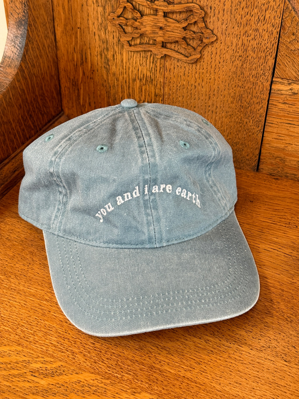 You & I Are Earth Ballcap