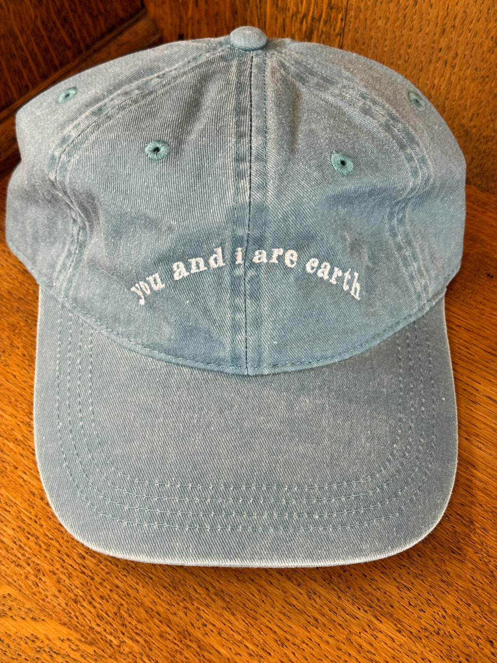 You & I Are Earth Ballcap