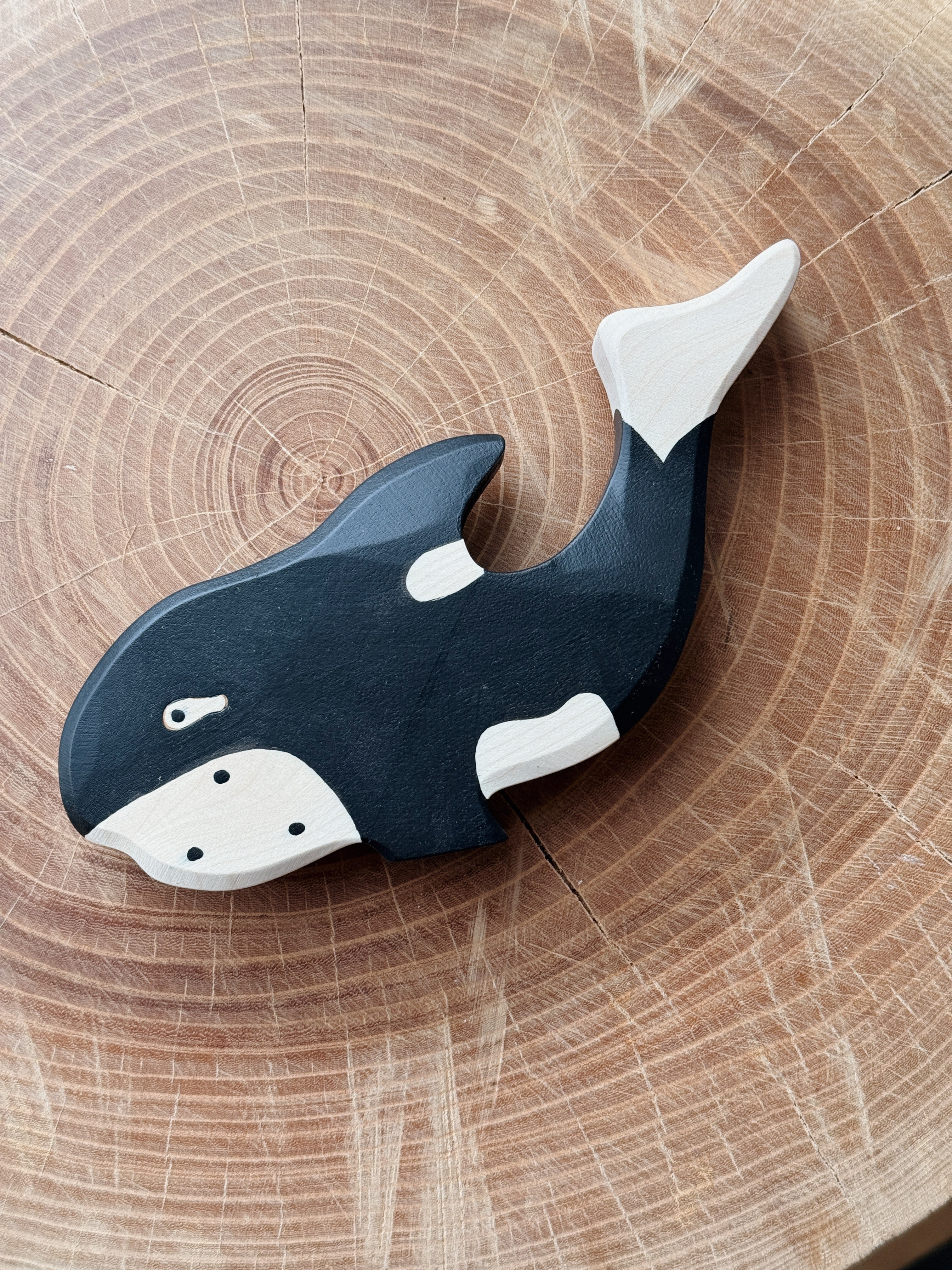 Orca Whale