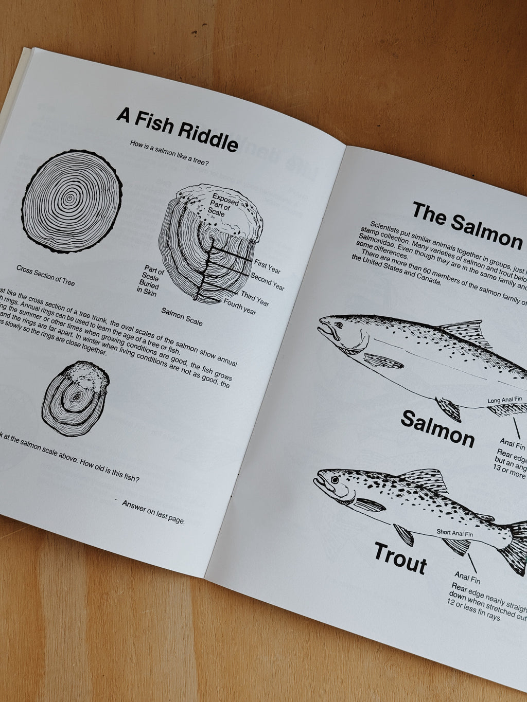 Salmon Activity Book