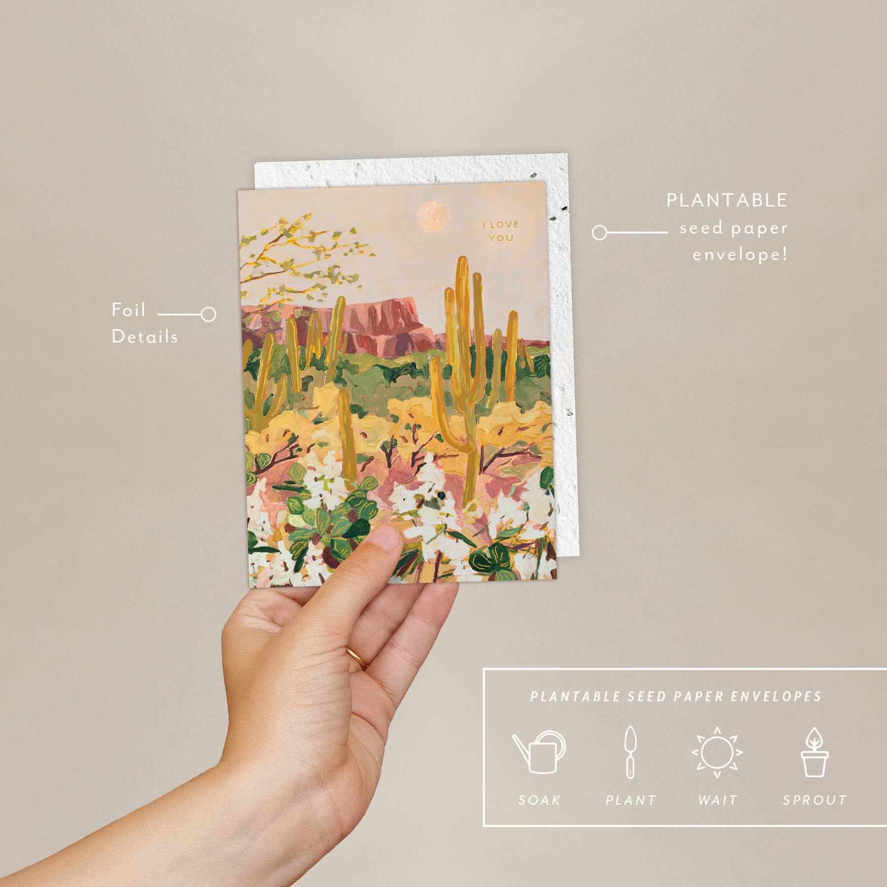 Desert Moonlight - Love + Friendship Card