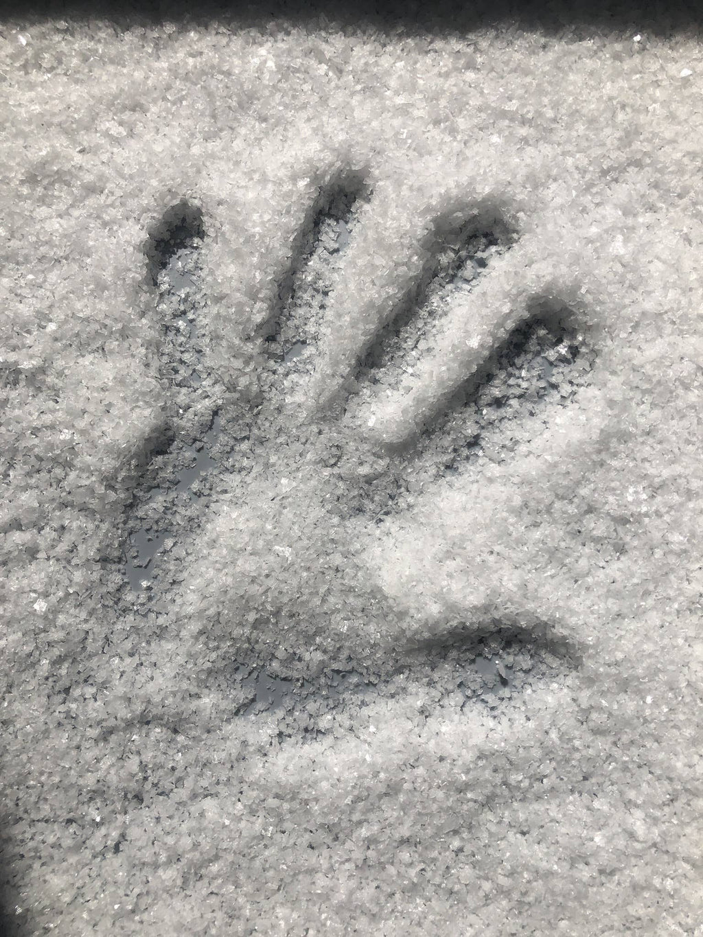 Havsnø Norwegian Sea Salt 24oz bag