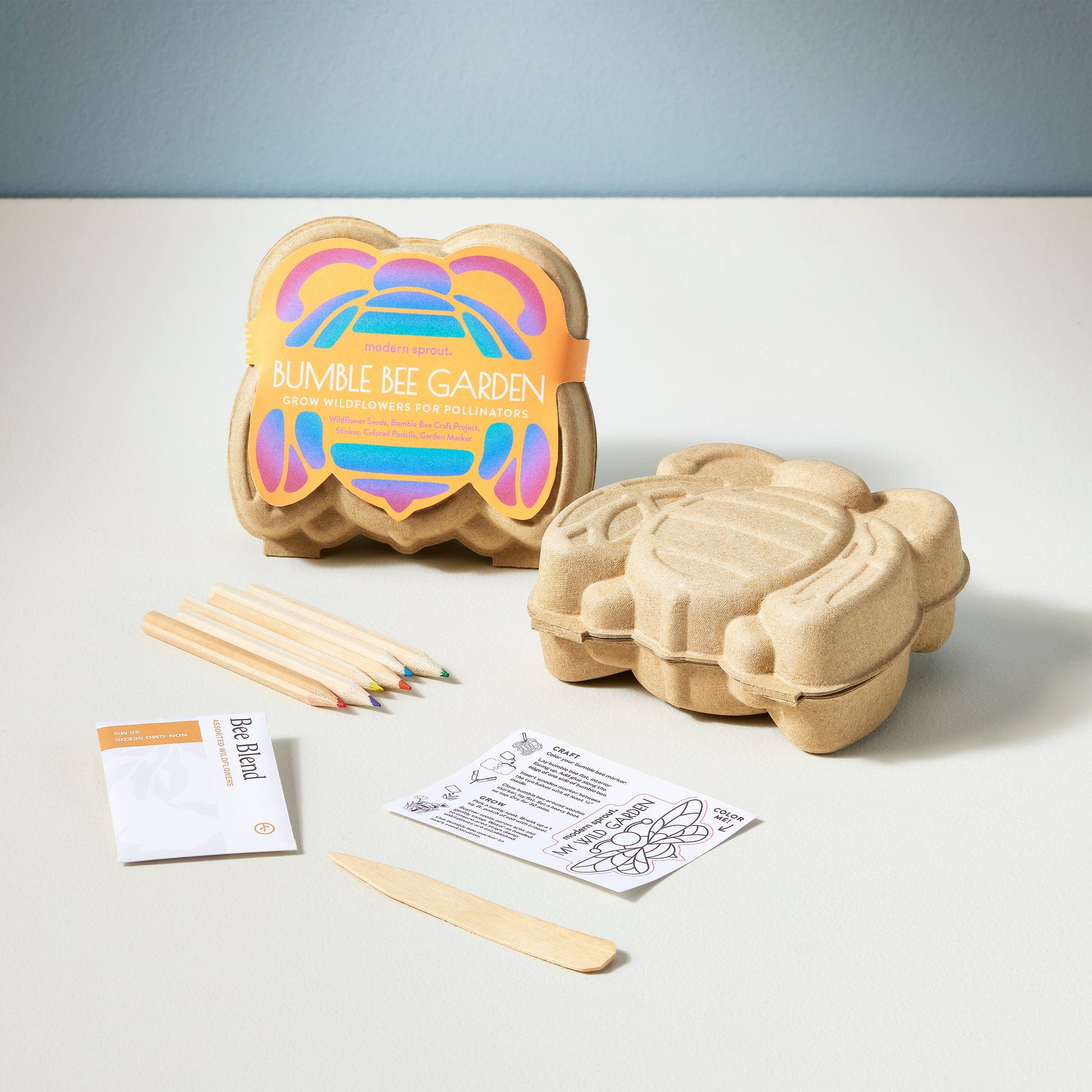 Curious Critters Activity Kit: Bee