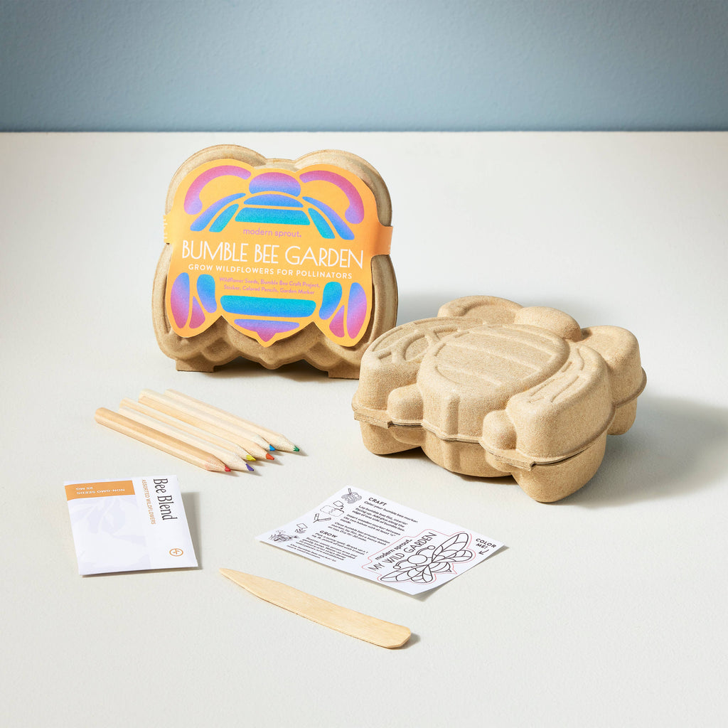 Curious Critters Activity Kit: Ladybug