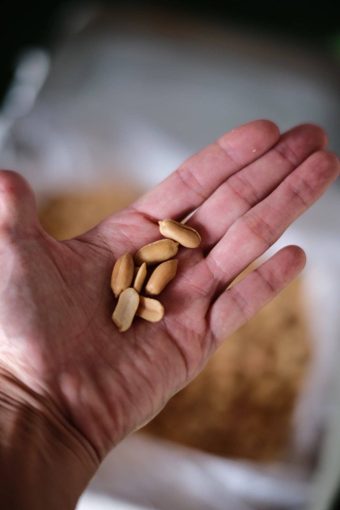 Unsweetened Peanut Butter