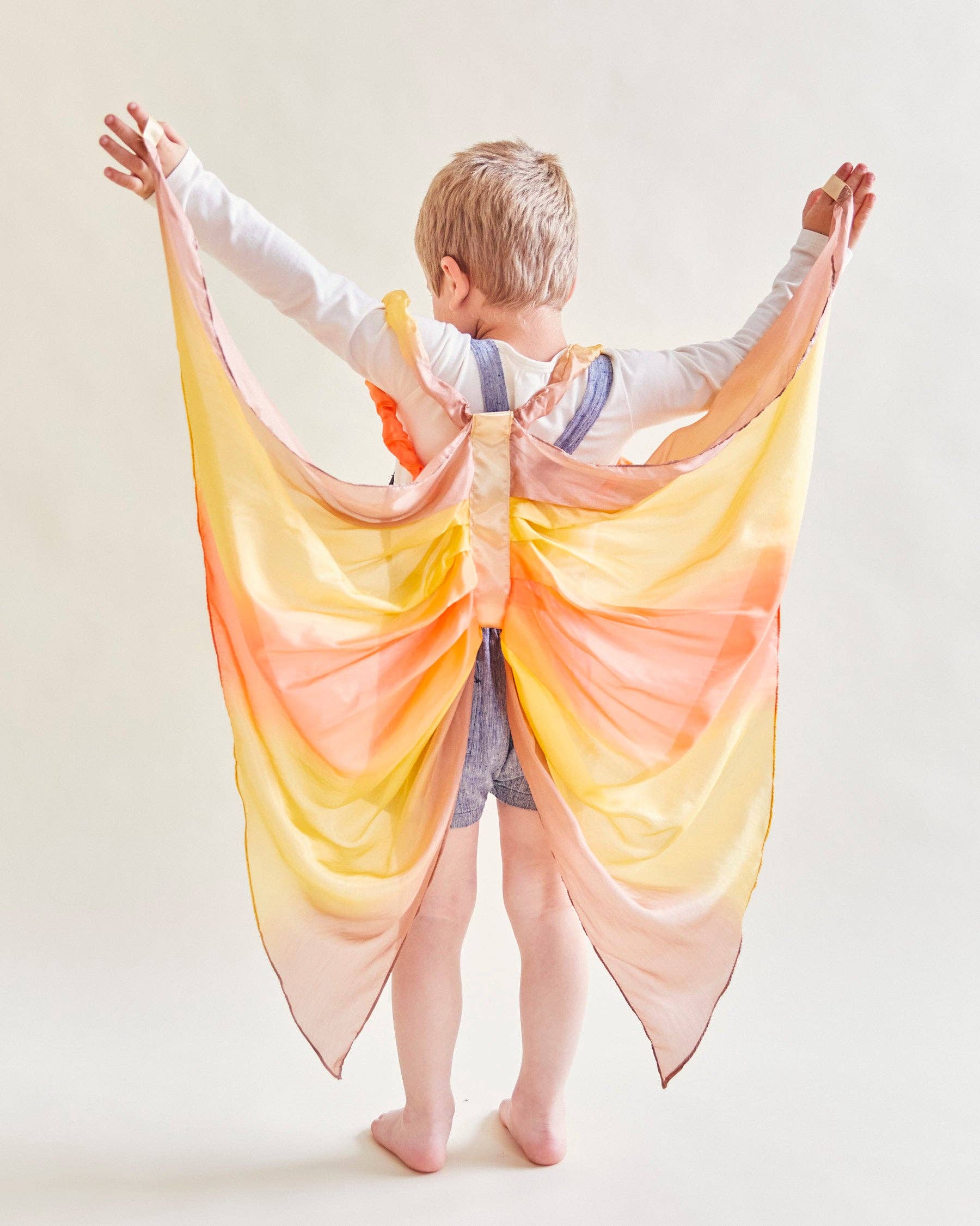 Desert Fairy Wings