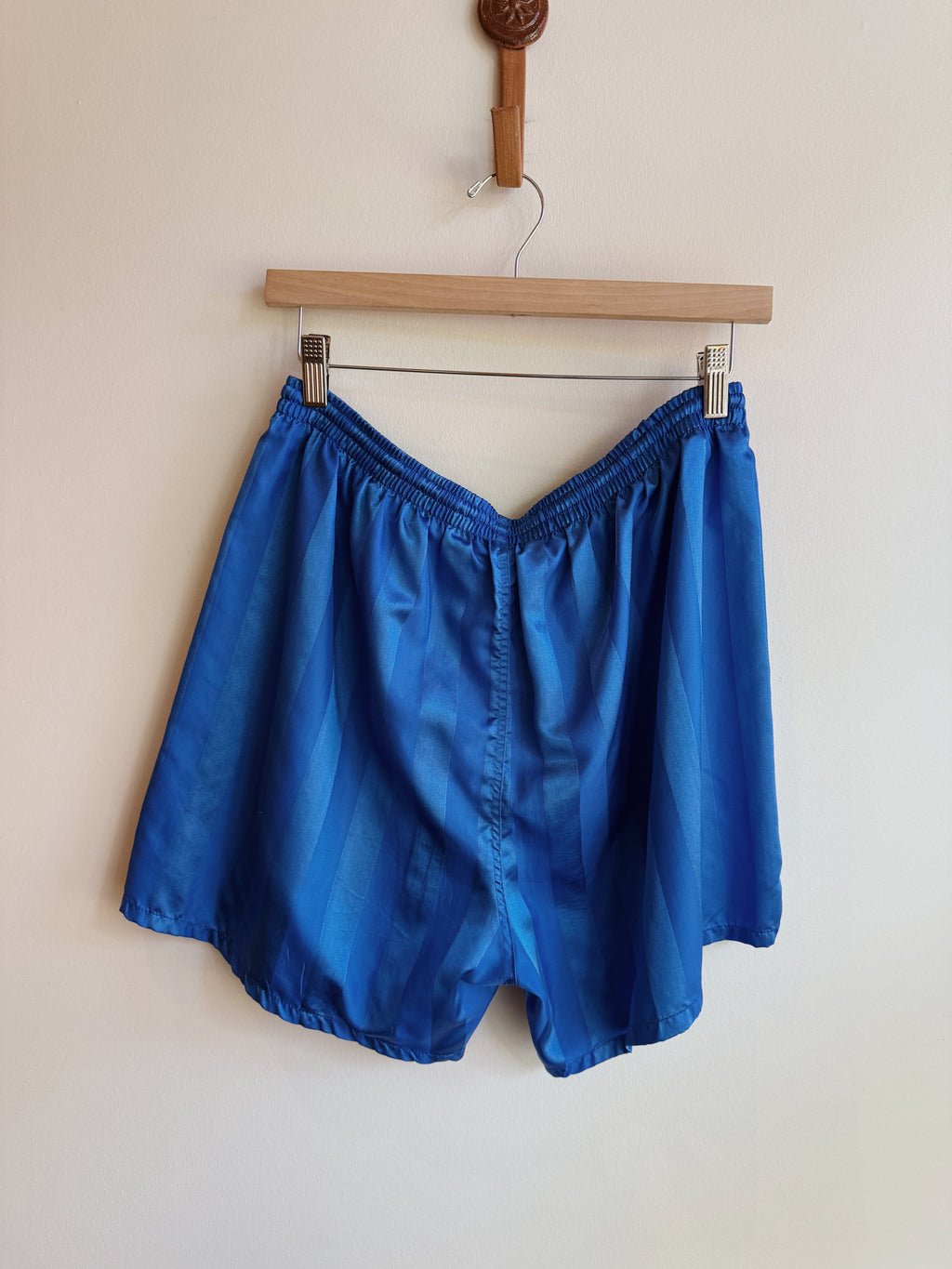 Blue Stripe Shorts