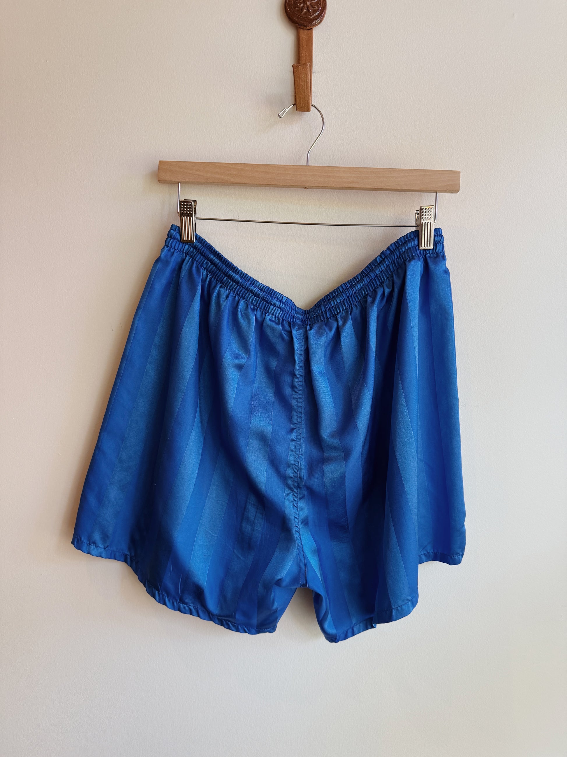 Blue Stripe Shorts