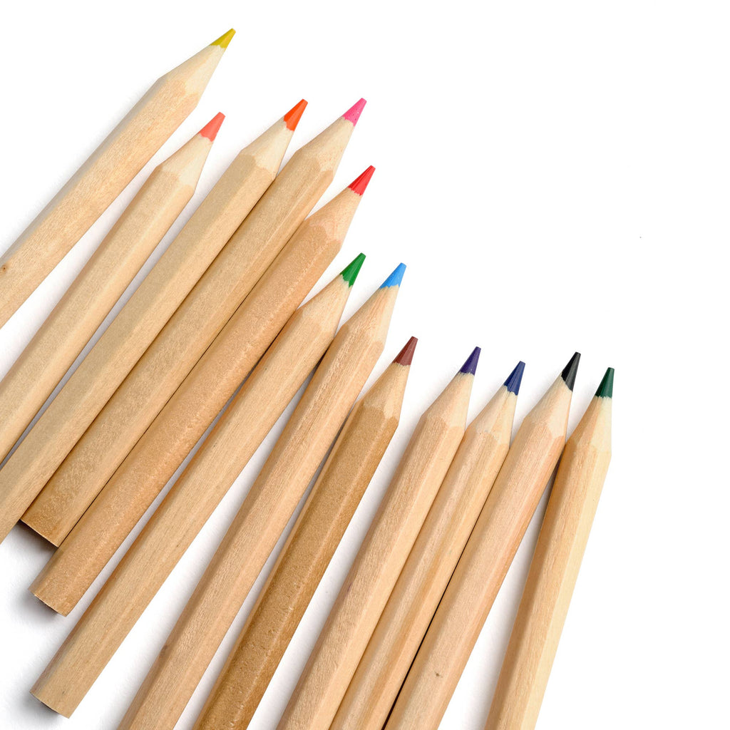 Elseware Colored Pencils with Case