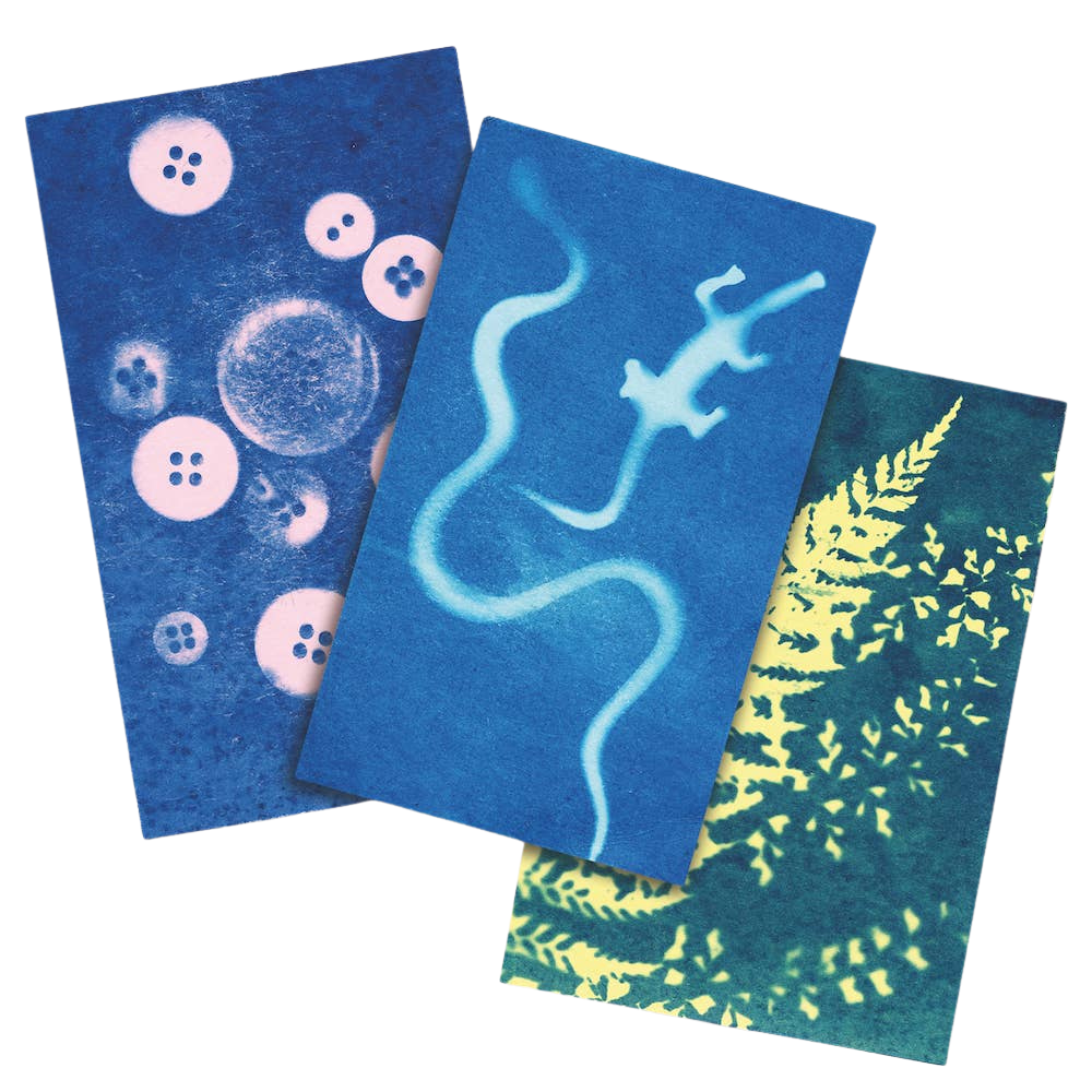 Sunography - Color Cards