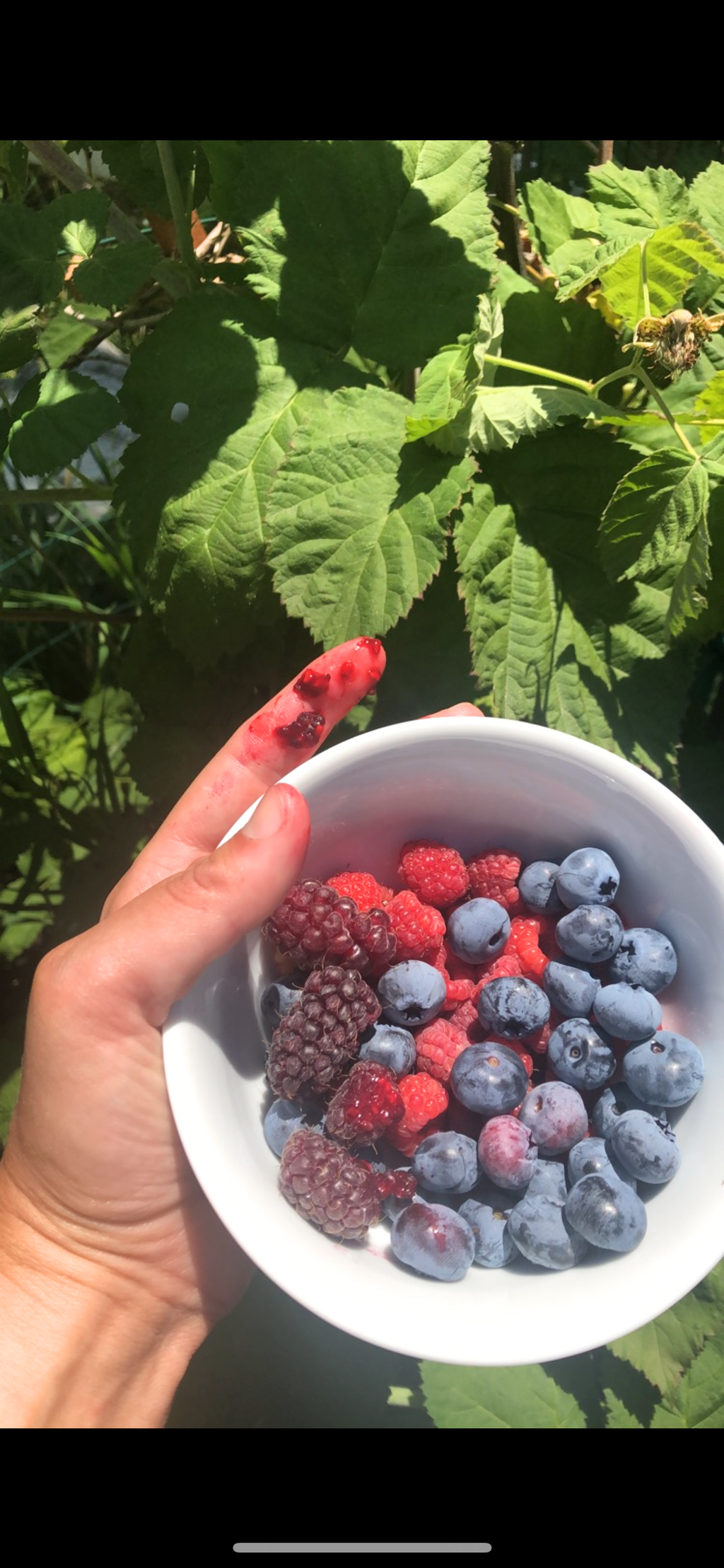 Pacific Northwest Berry Jam