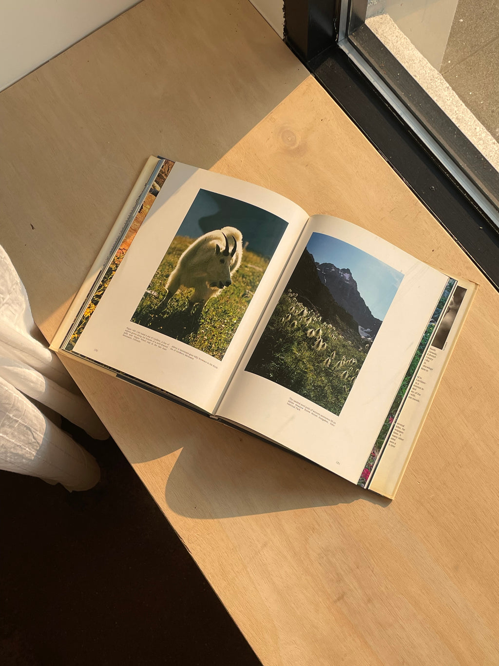 The Rocky Mountains Hardcover Book