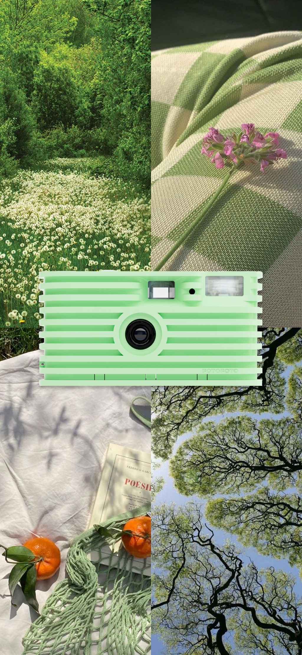 Sustainable Disposable Camera - Meadow