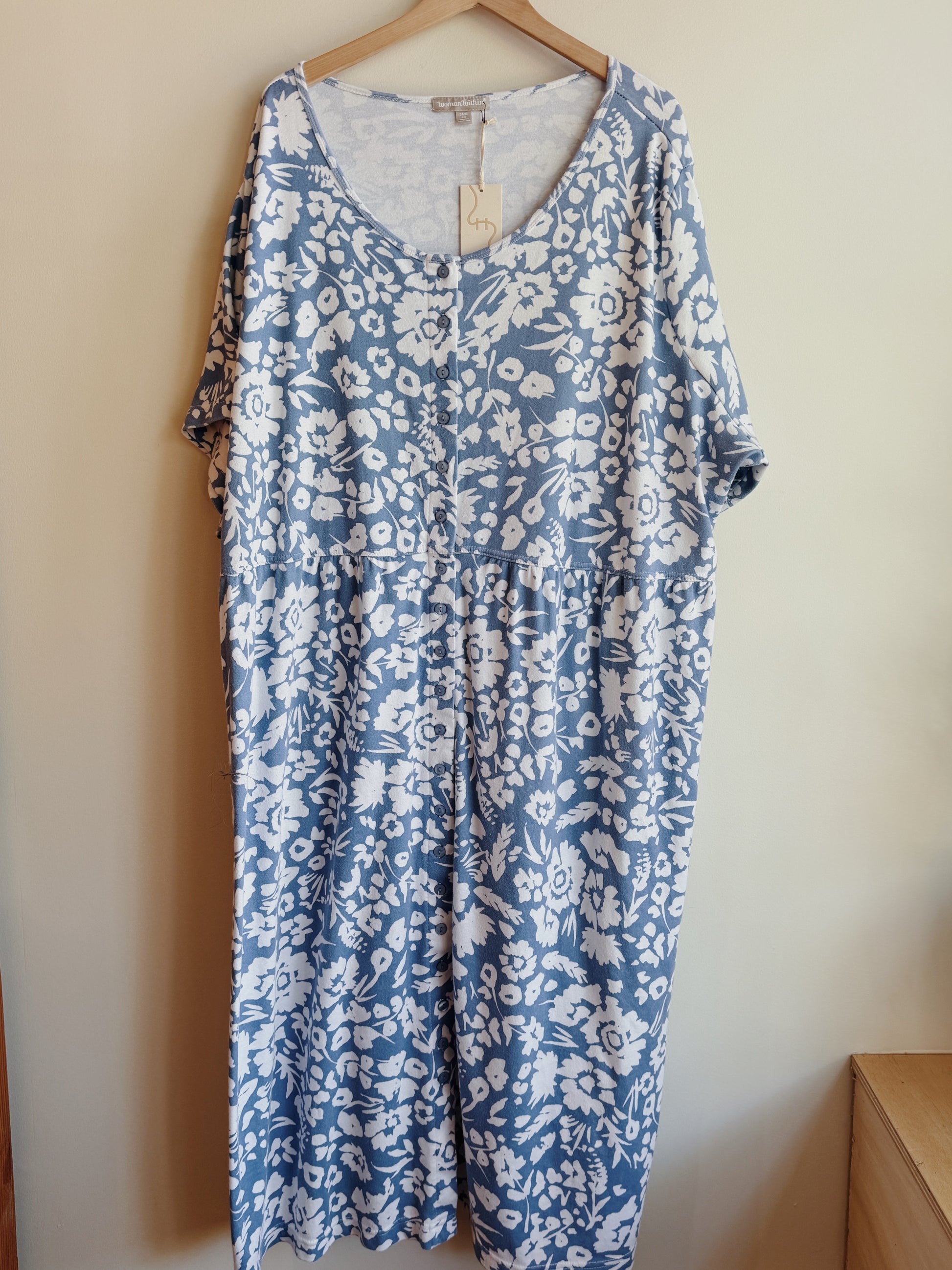 Blue 4X Floral Dress