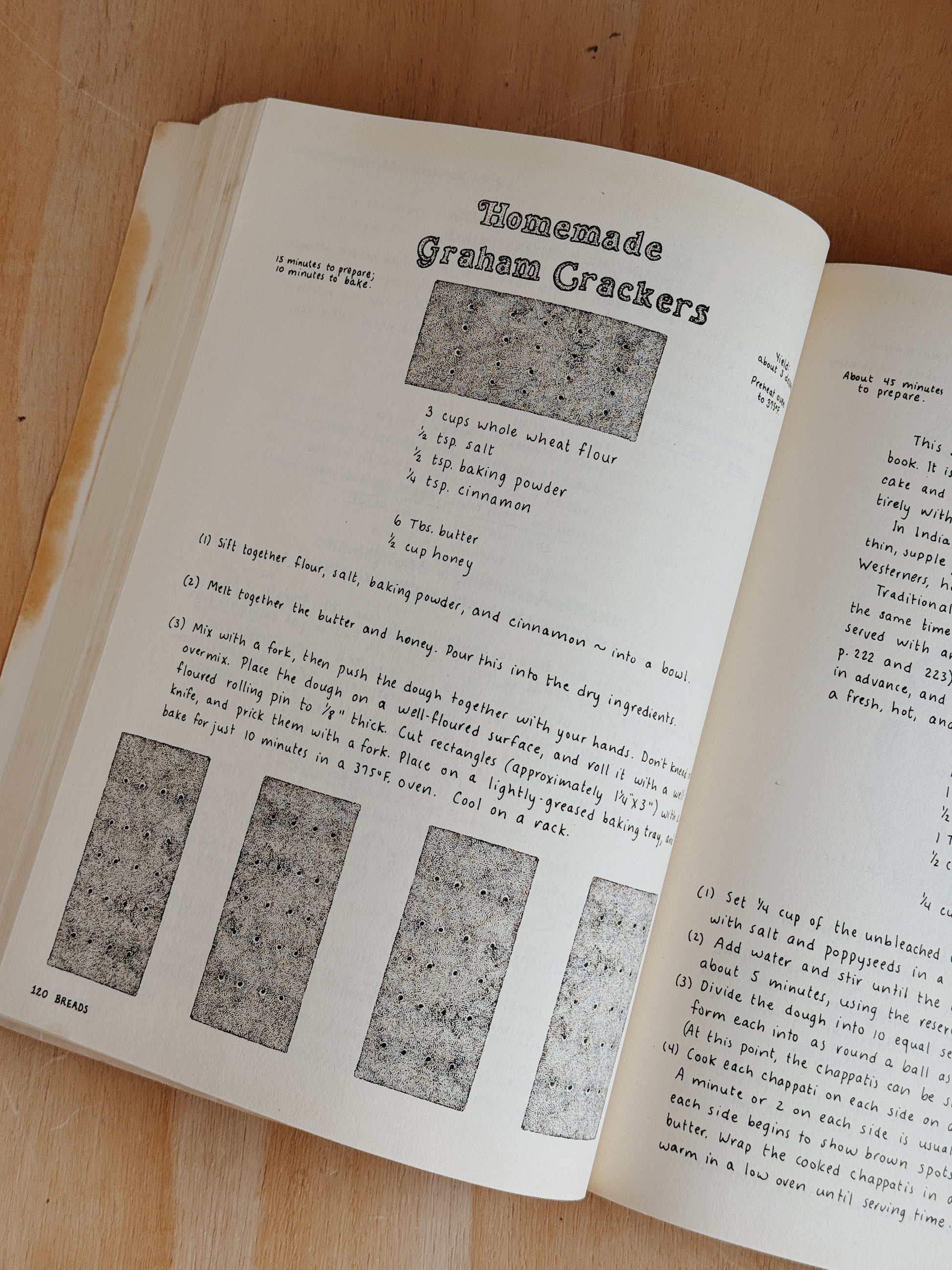 Enchanted Broccoli Forest