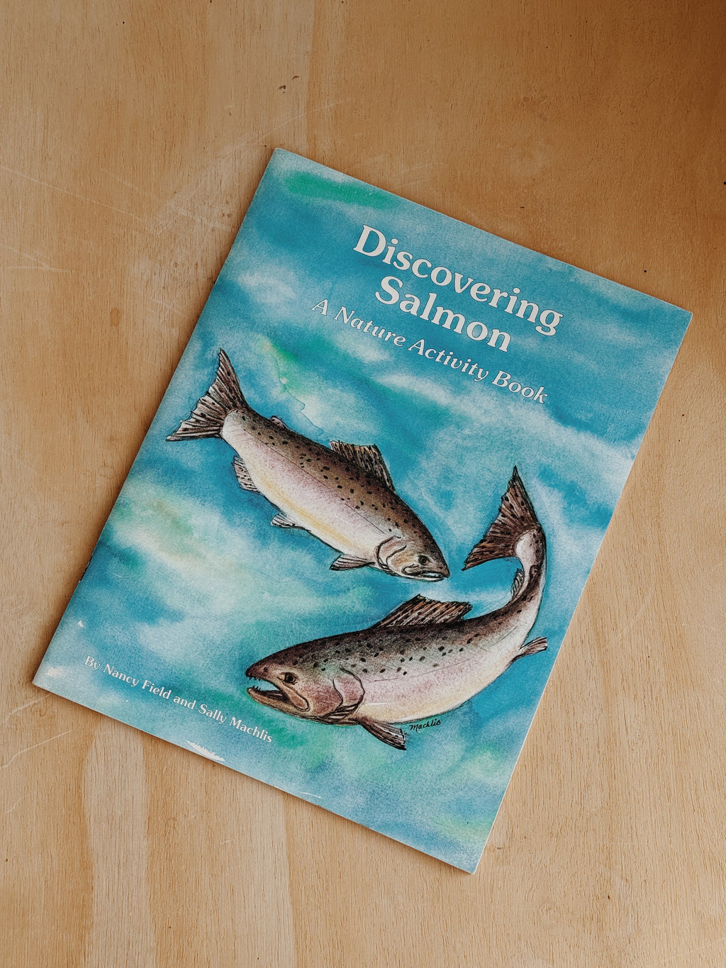 Salmon Activity Book