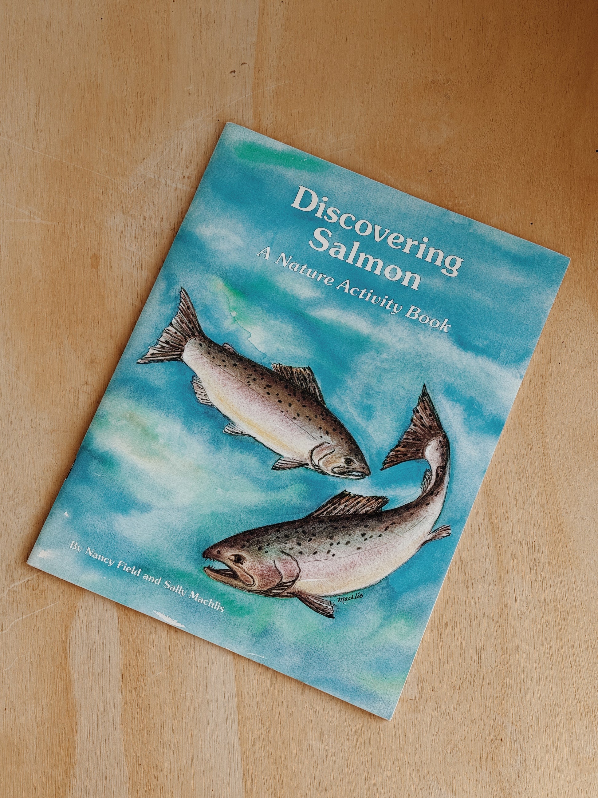 Salmon Activity Book