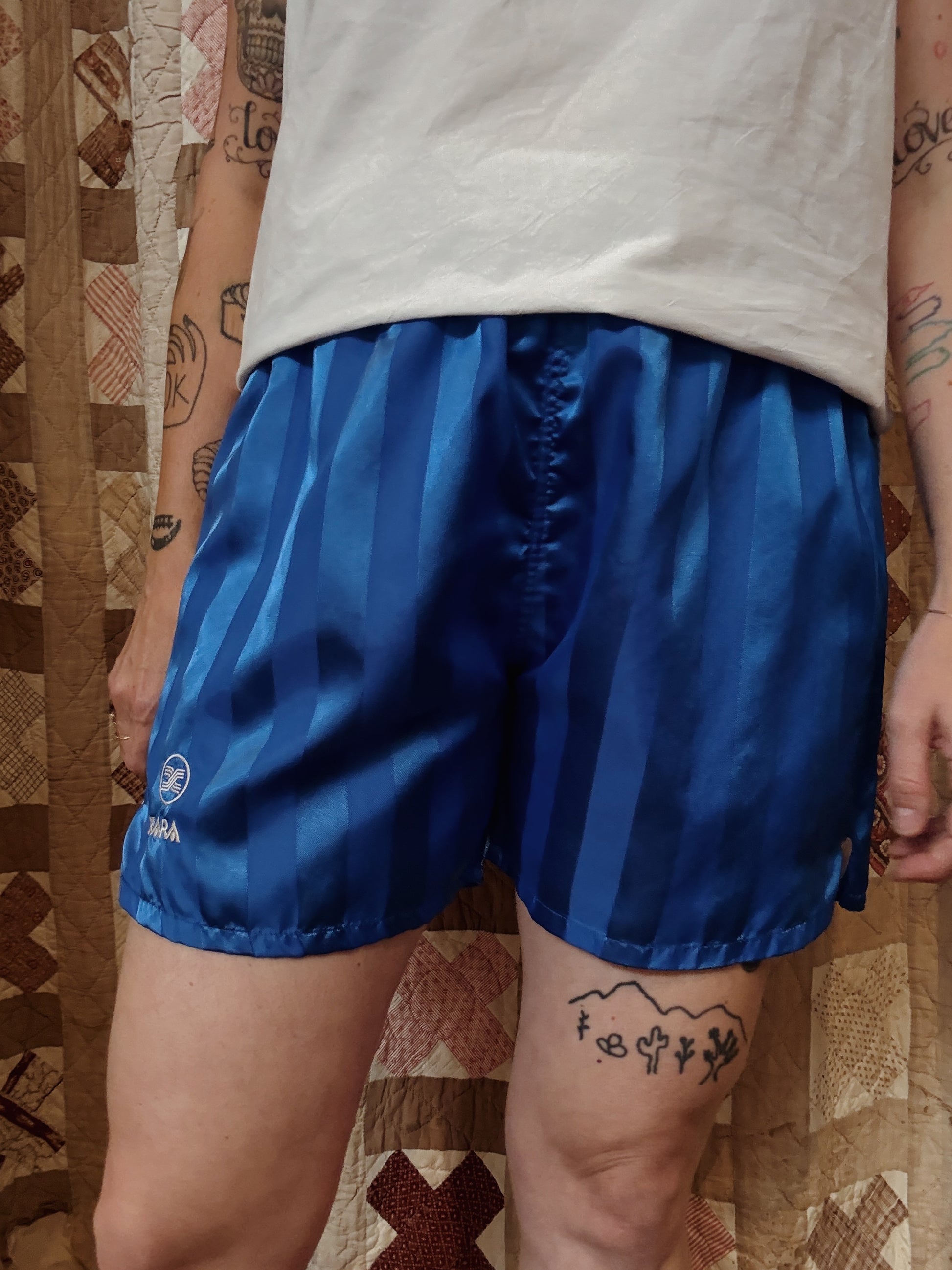 Blue Stripe Shorts