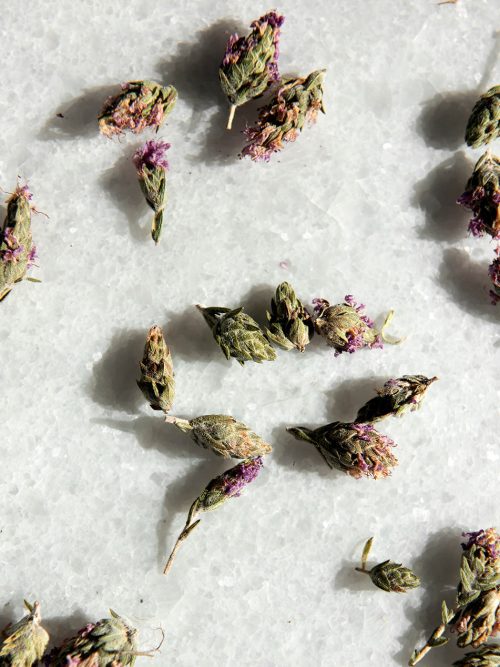 Wild Thyme Flowers Jar