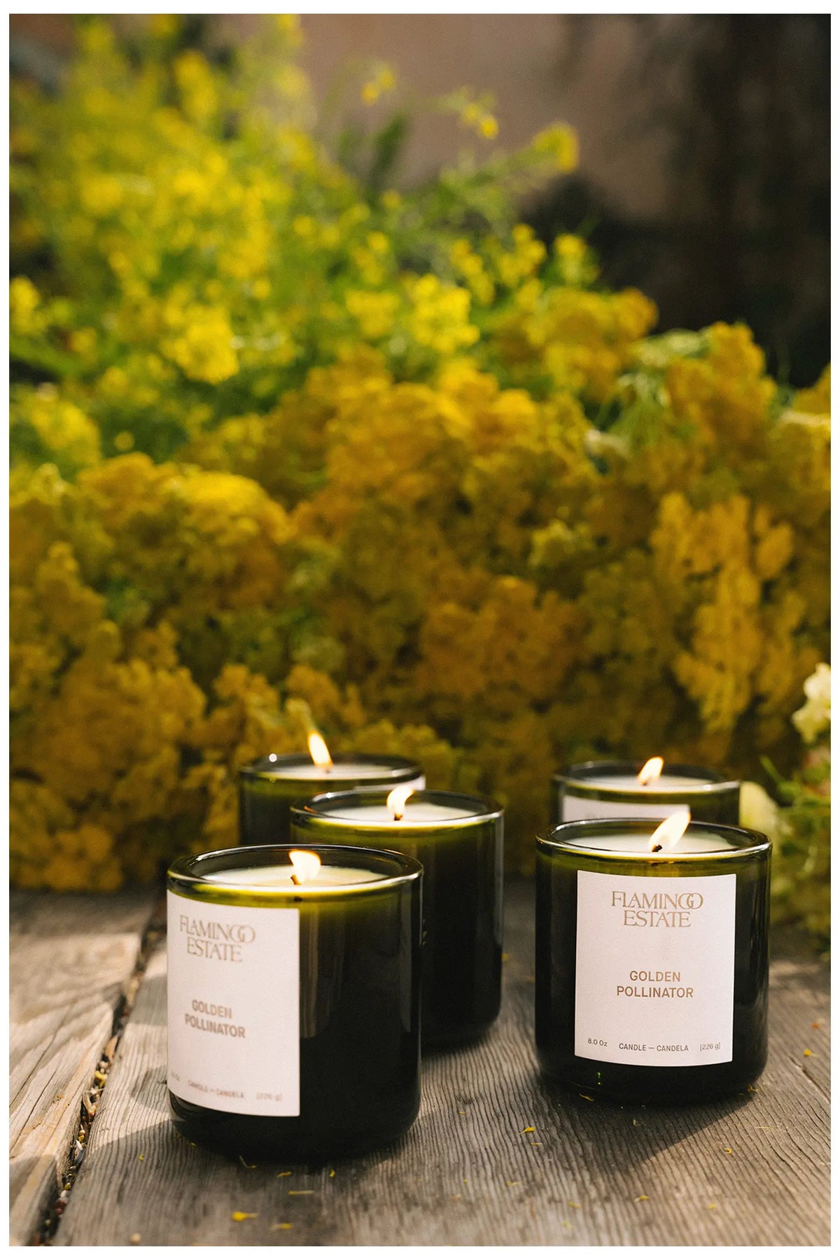 Golden Pollinator Candle