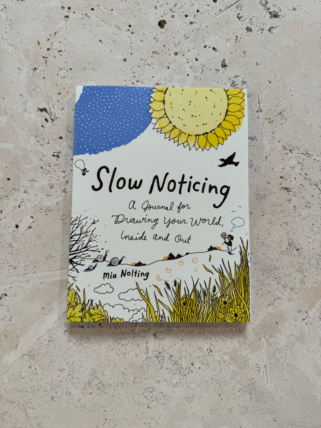 Slow Noticing