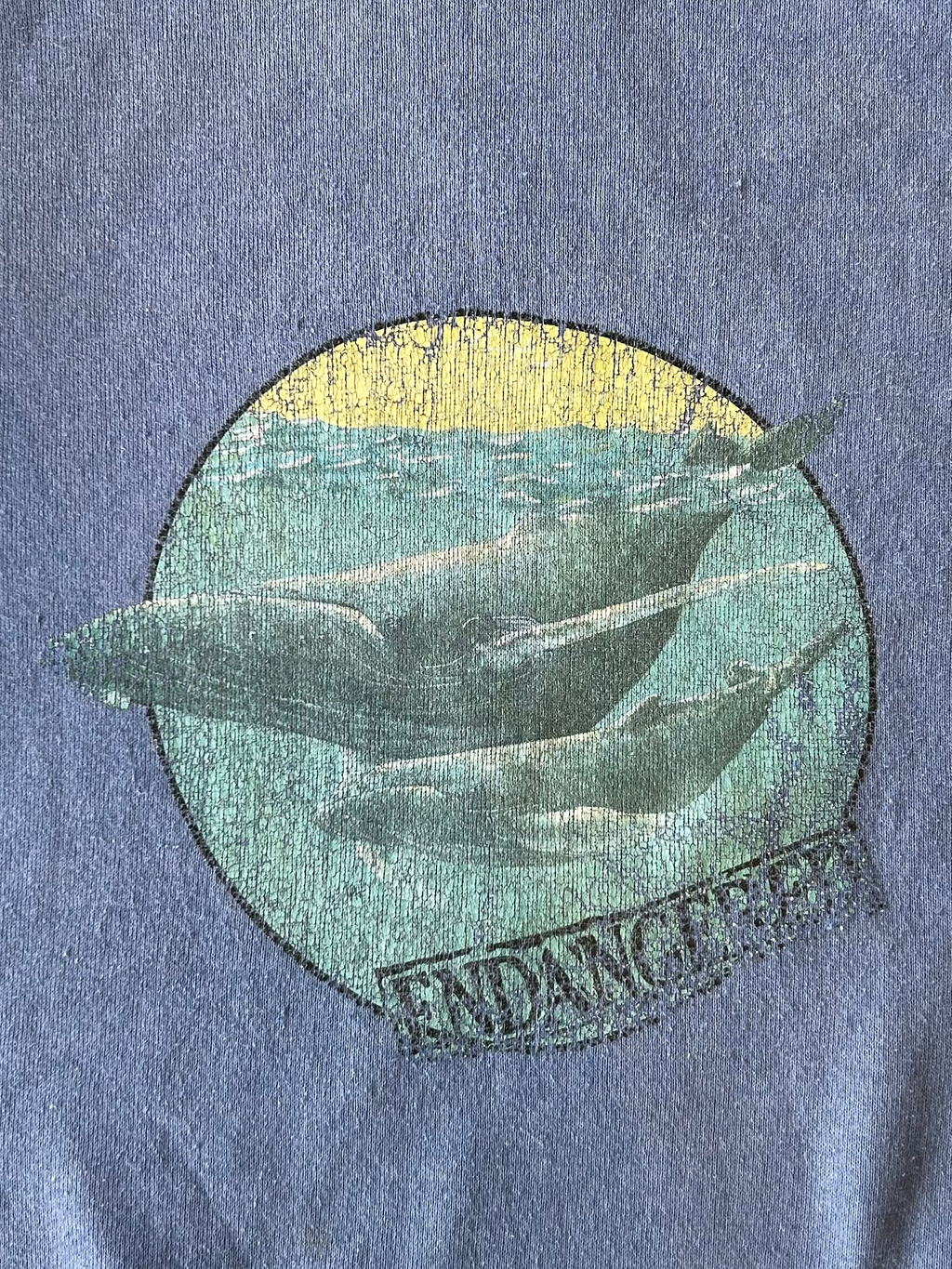 Endangered Blue Whale Crew