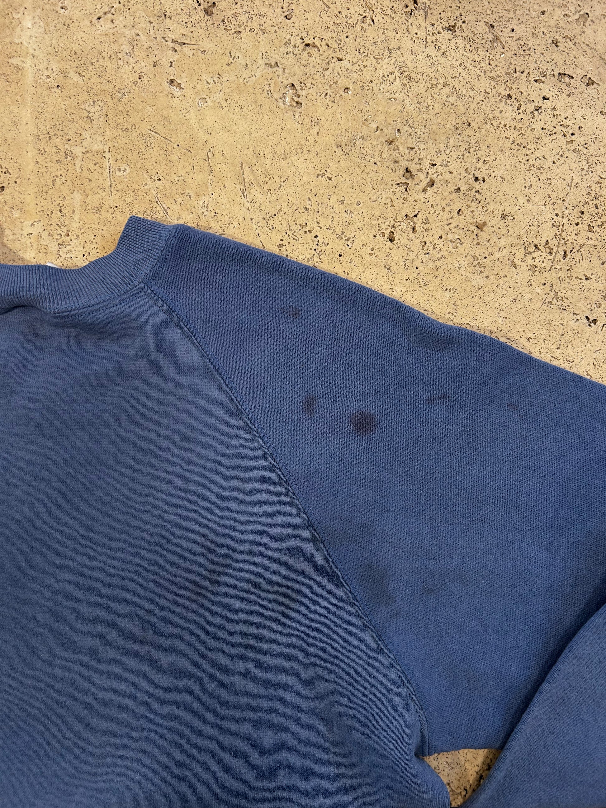 Endangered Blue Whale Crew