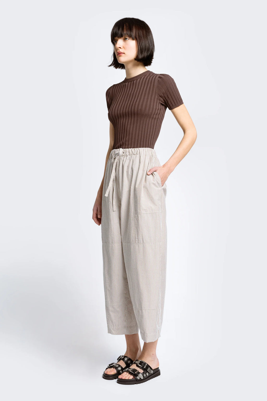 Aratus Pant
