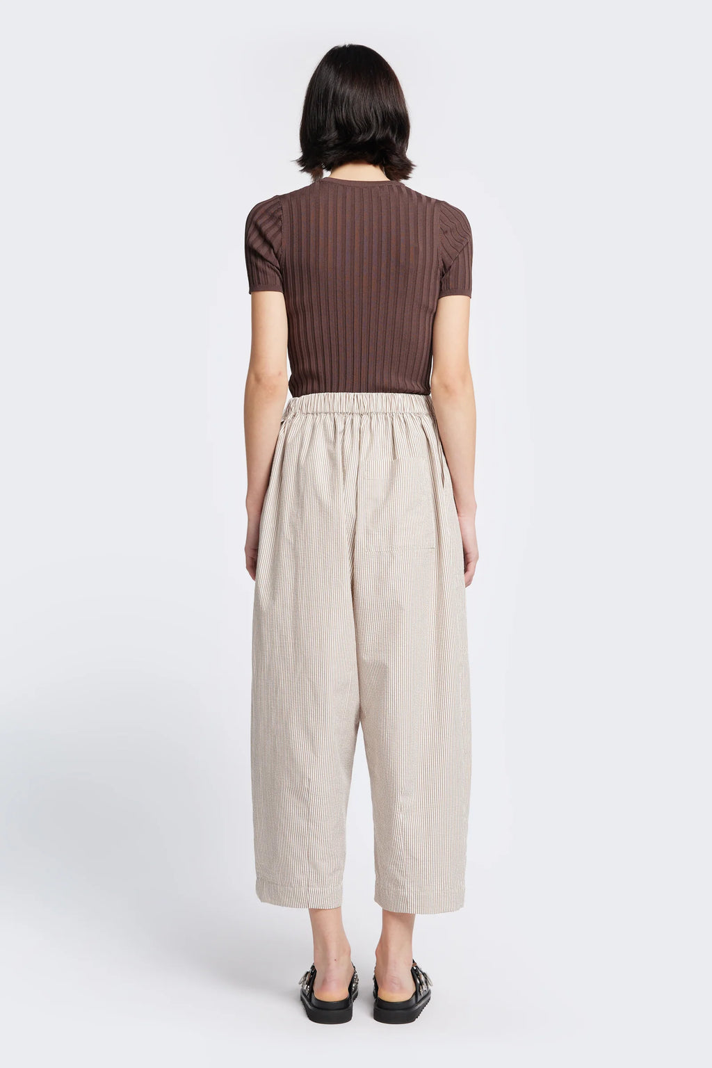 Aratus Pant