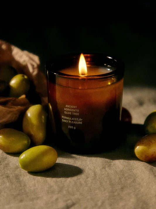 Ancient Agrigento Olive Tree Candle