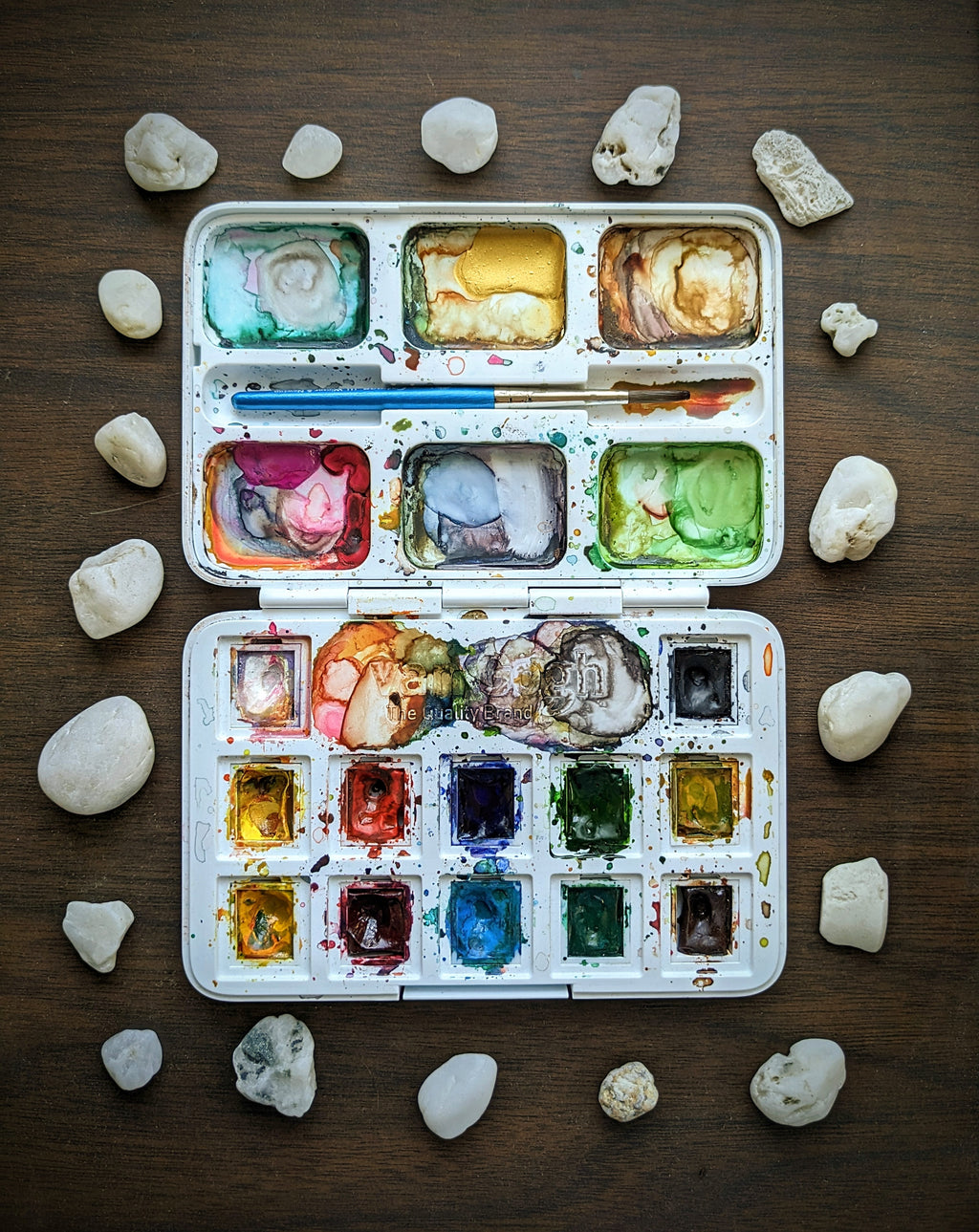 Beginner Watercolor Class - 1/18