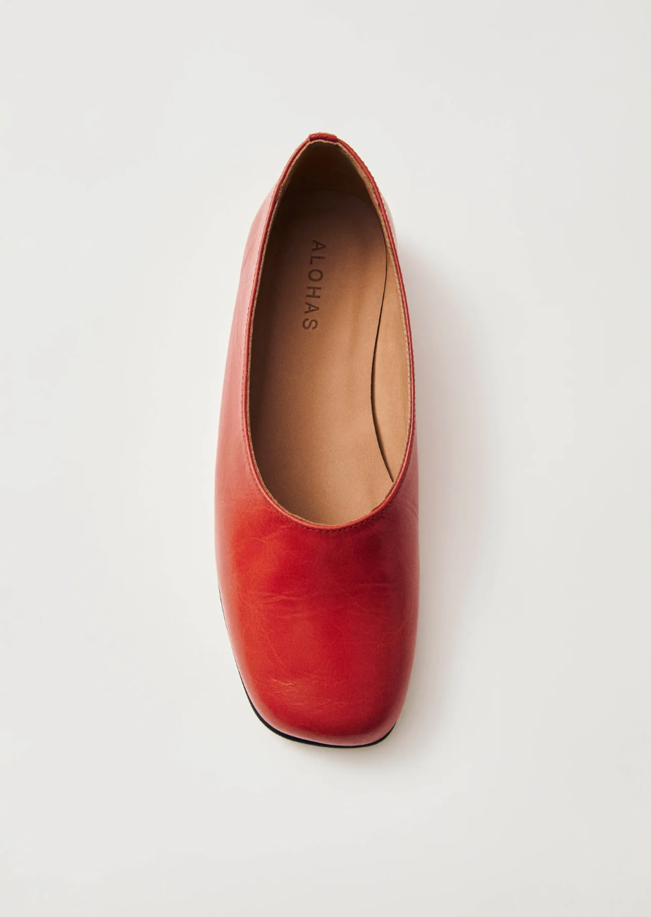 Edie Ballet Flat