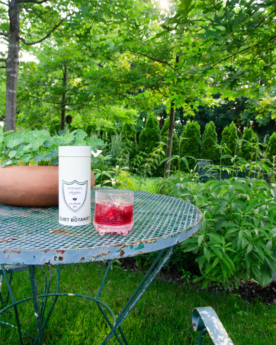 Iced Hibiscus Tea