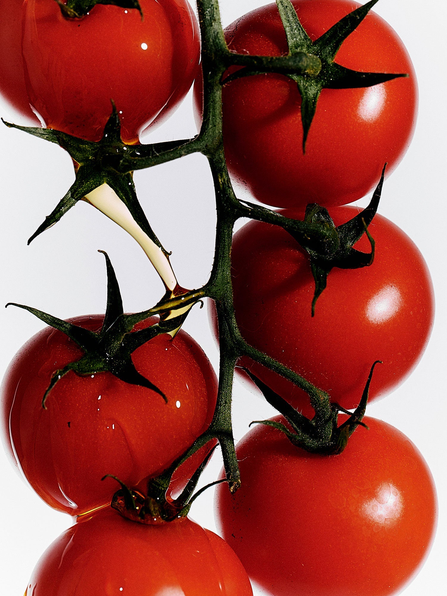 Heirloom Tomato Dish Soap