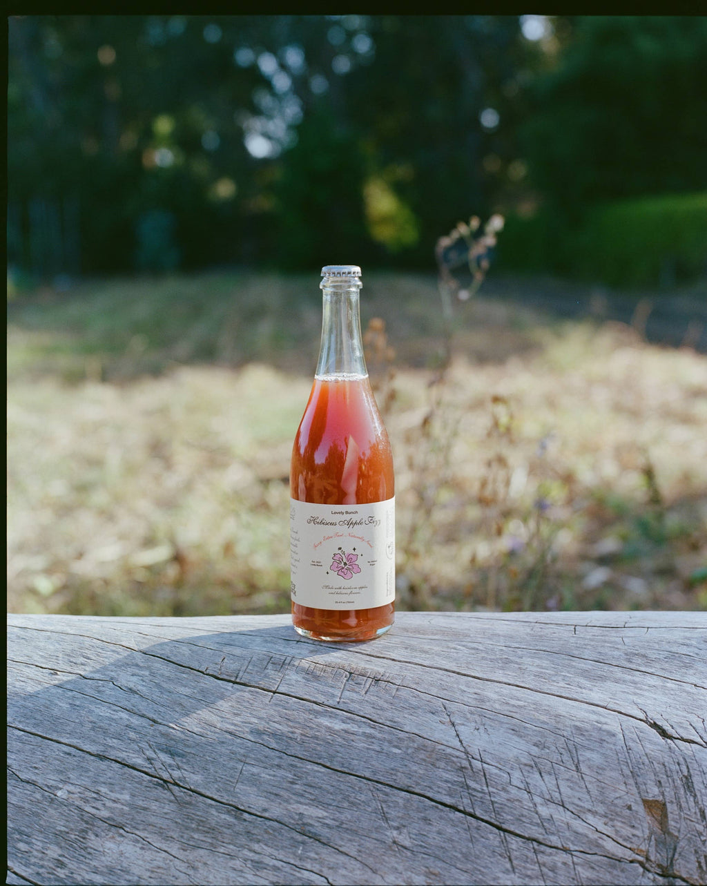 Hibiscus Apple Fizz