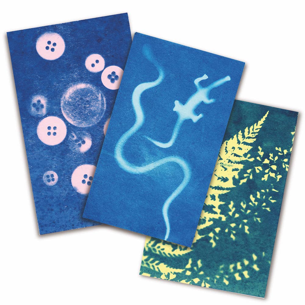 Sunography - Color Cards