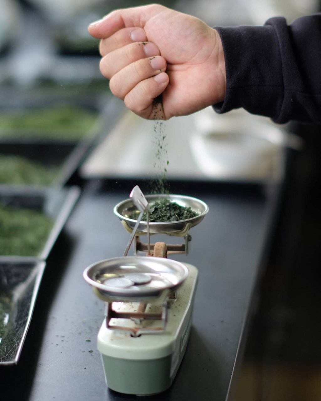 Matcha Peanut Butter