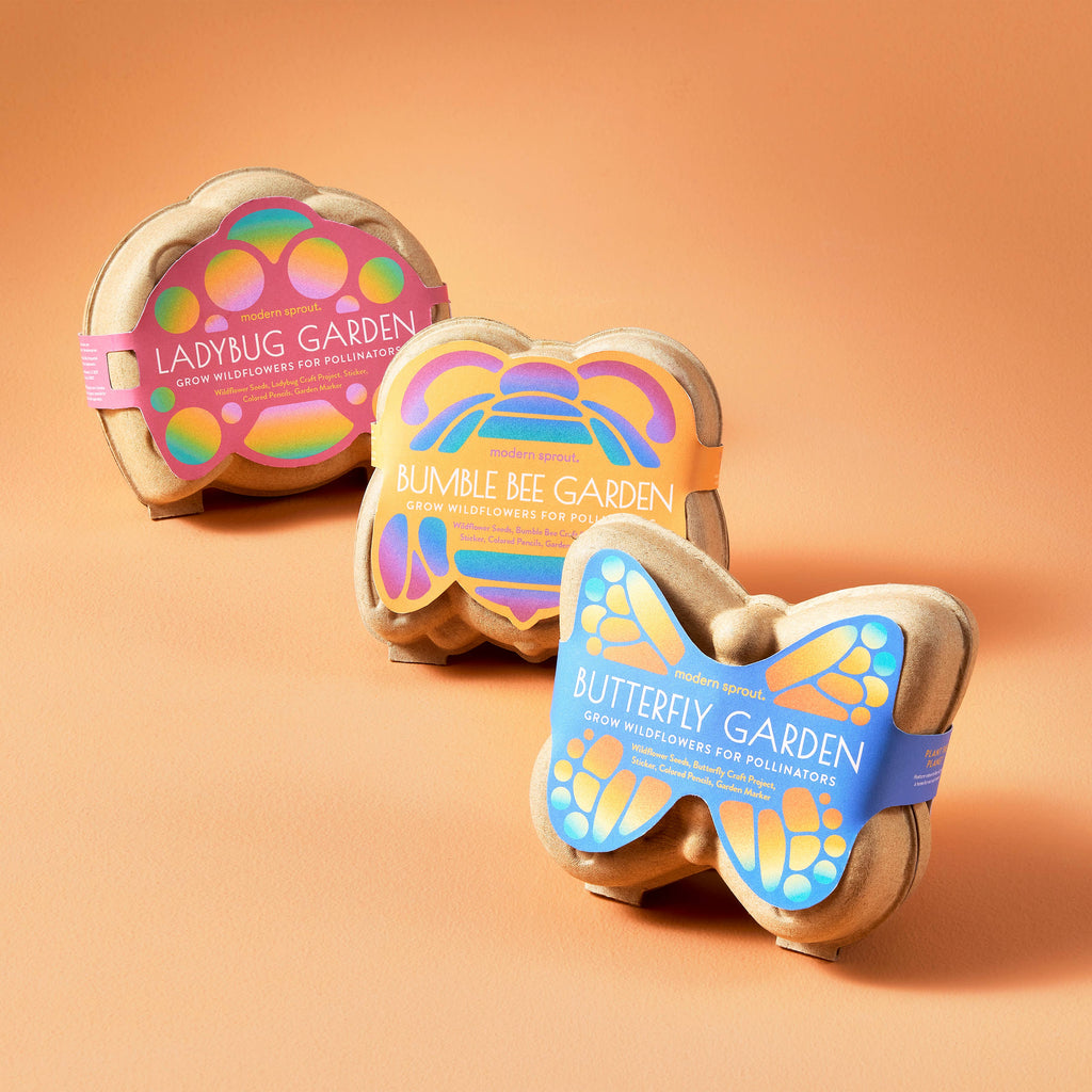 Curious Critters Activity Kit: Ladybug